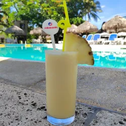  Piña Colada                                                              