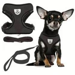 Juego de Arnés con Correa color Negro