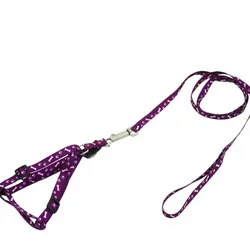Juego de arnés con correa color violeta