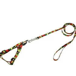 Juego de Arnés con Correa Colorida