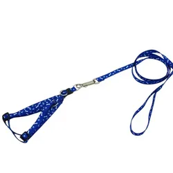 Juego de arnés con correa