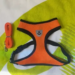 Juego de Arnés y correa color anaranjada