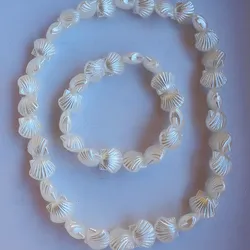 1000 pesos  Juego collar y pulsera 