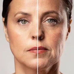 Todas las zonas. Full Face 