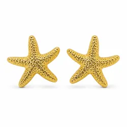 Aretes Star