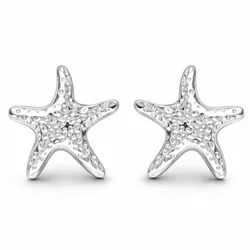 Aretes Star
