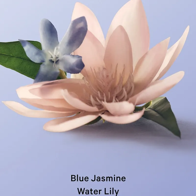 Dúo Blue Jasmine Water Lily