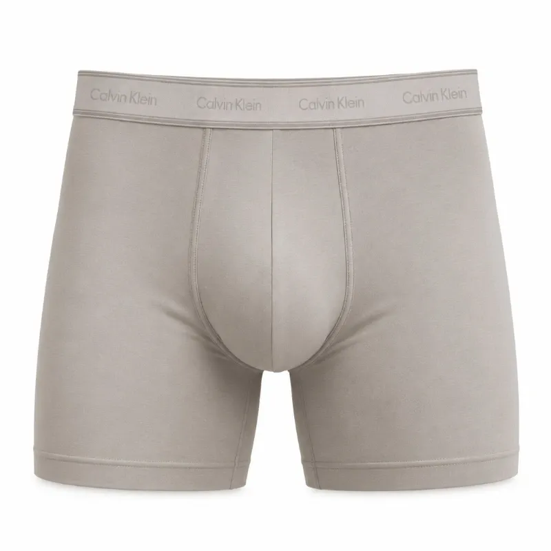 Boxer Klein