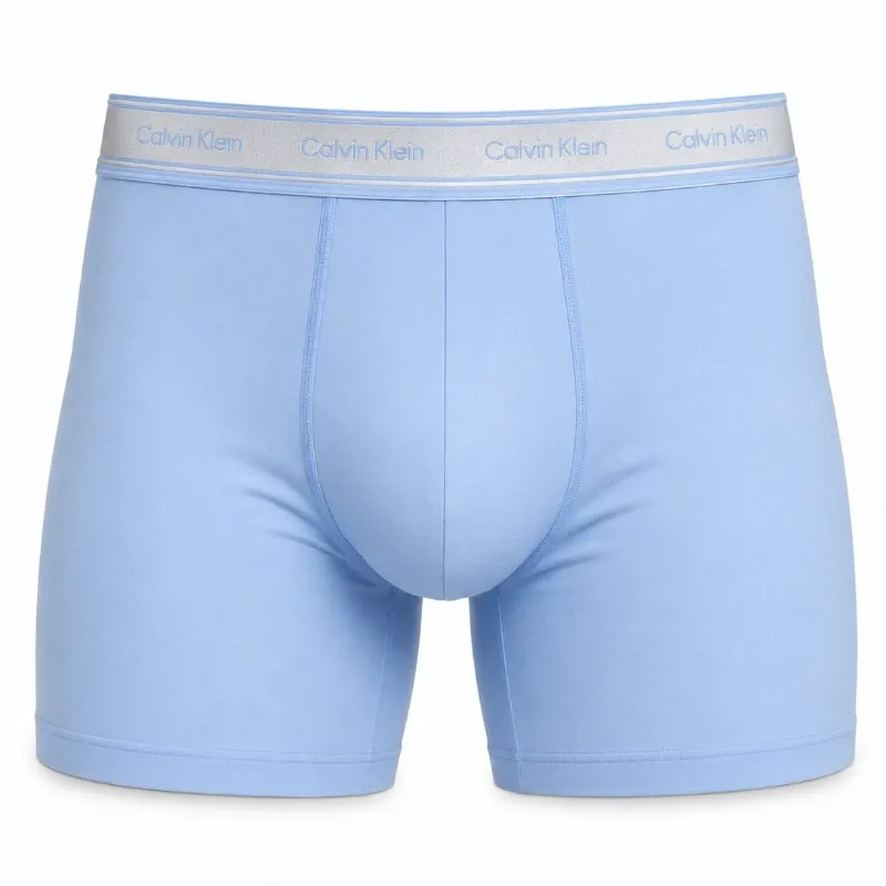 Boxer Klein