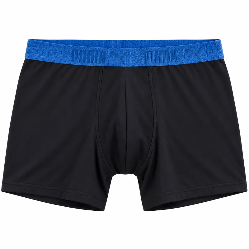 Boxer Puma