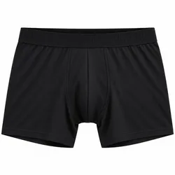 Boxer Puma