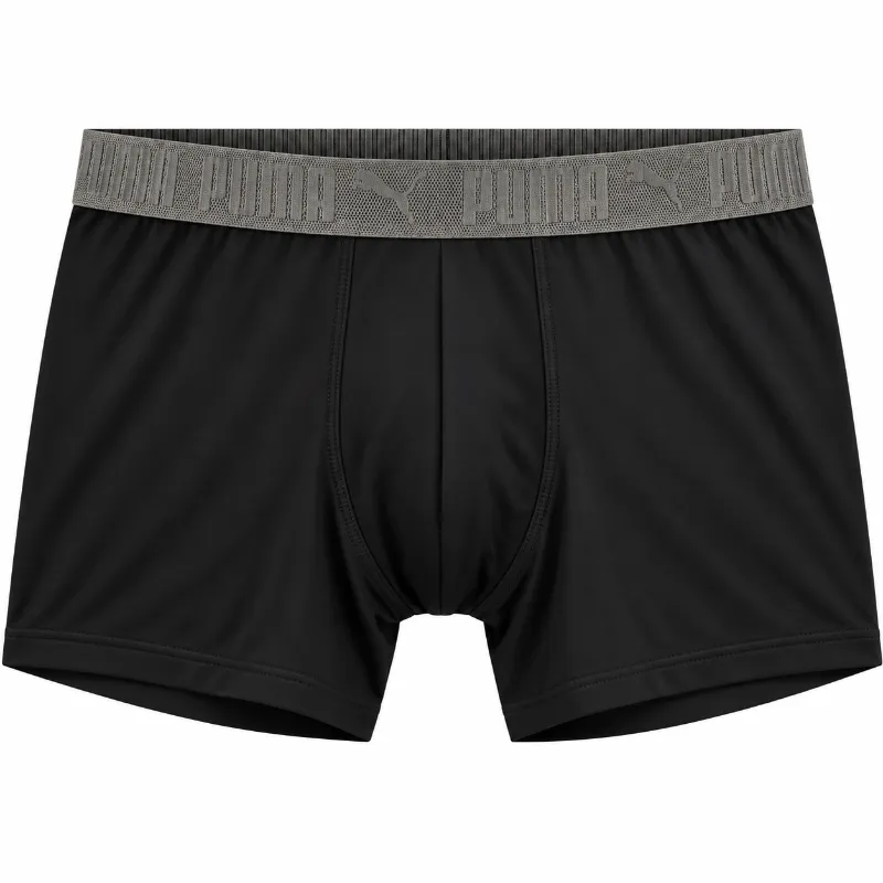 Boxer Puma
