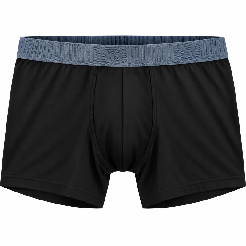 Boxer Puma