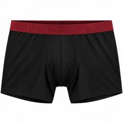 Boxer Puma