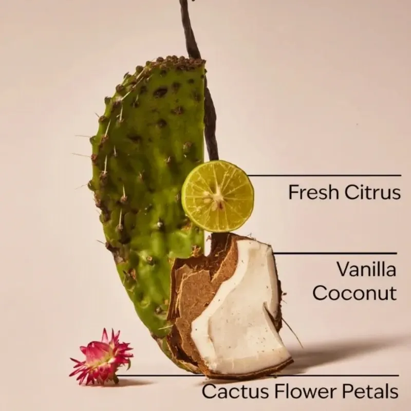 Cactus Blossom
