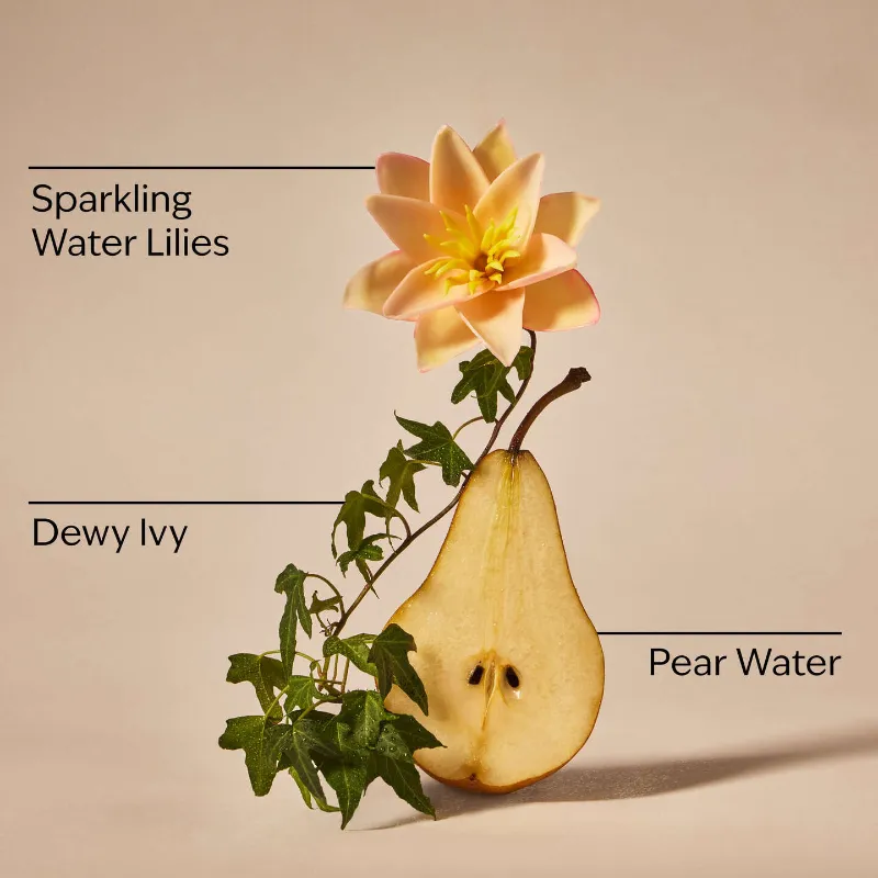 Dewy & Delicate
