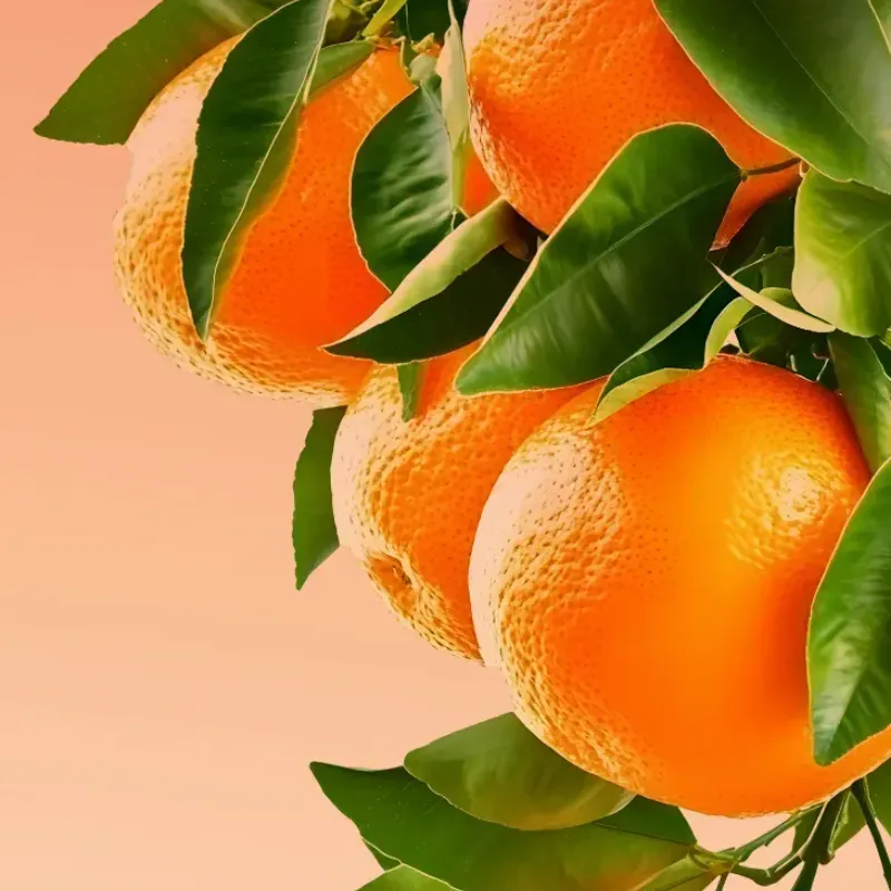 Feel Energized Hair & Body Mist