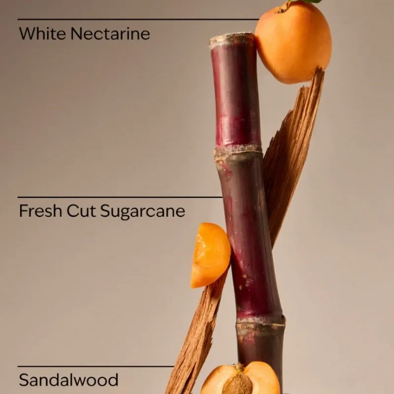 Fiji White Sands Candle