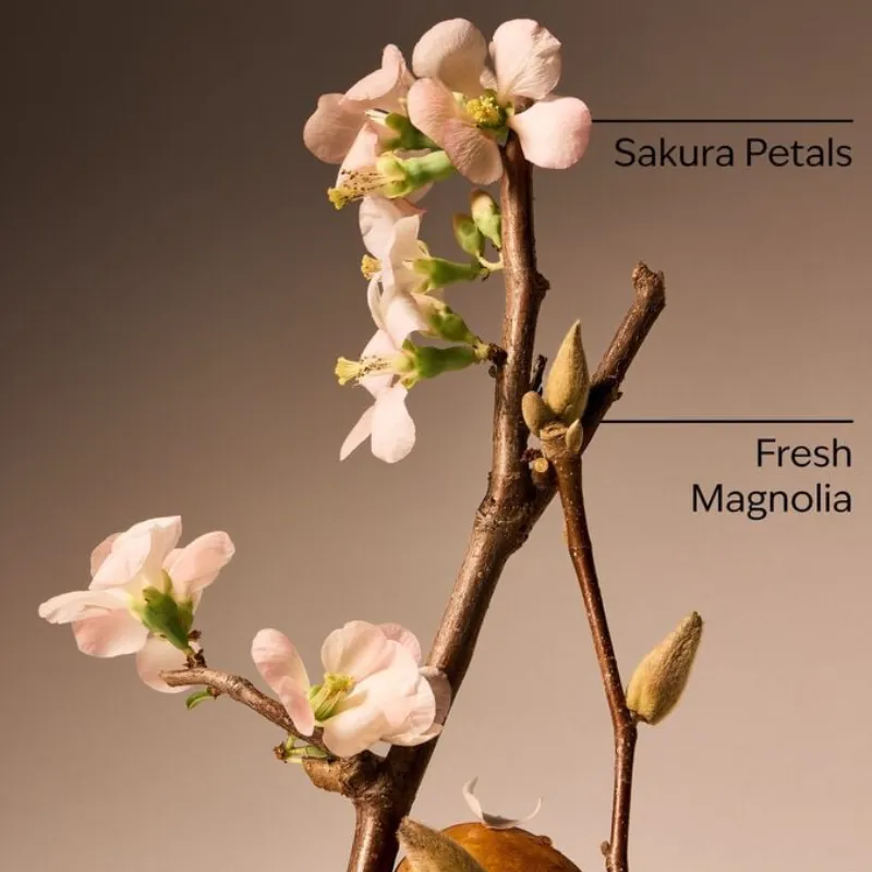 Forever Cherry Blossom Candle