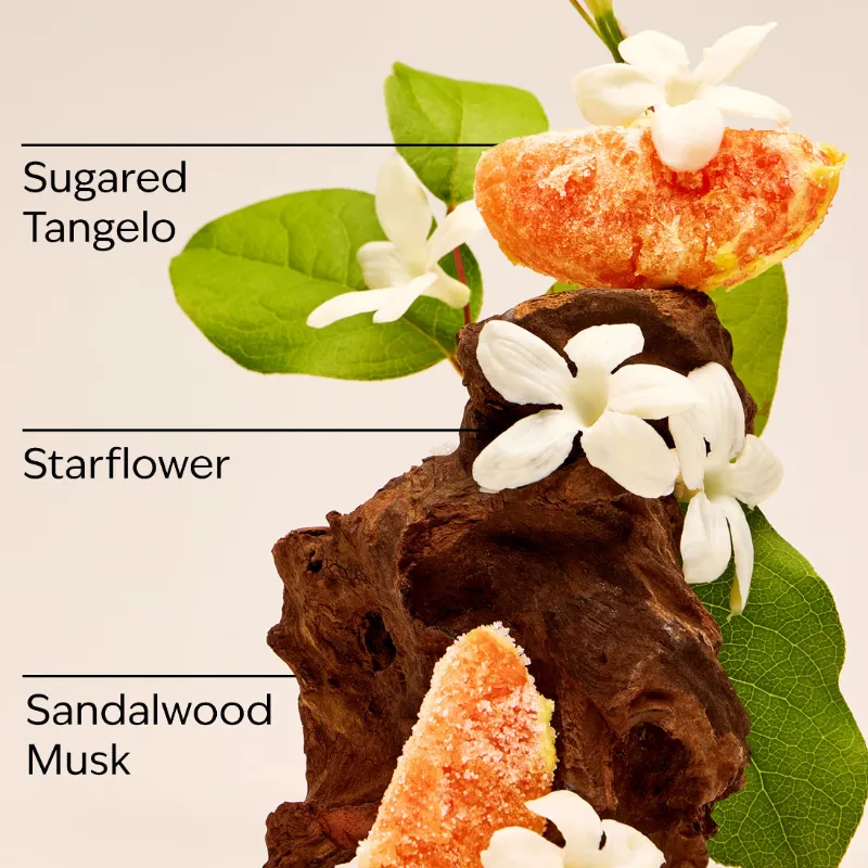 Fragancia In The Stars