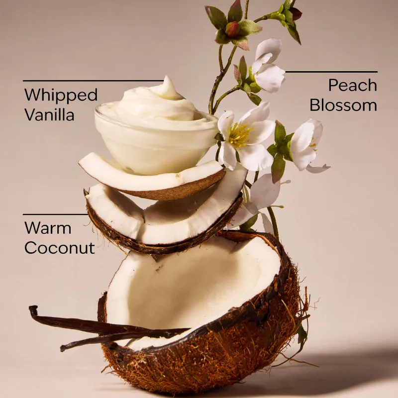Fragancia Vanilla Coconut