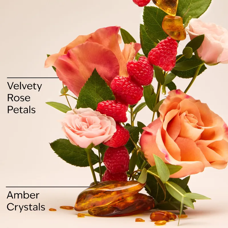 Fragancia Into the Night