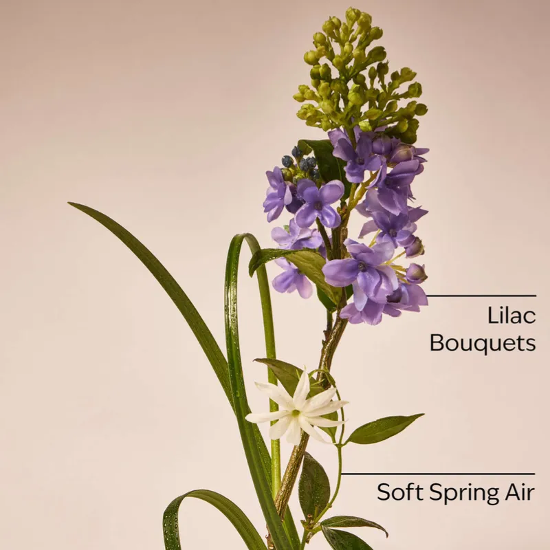 Fresh Cut Lilacs Candle