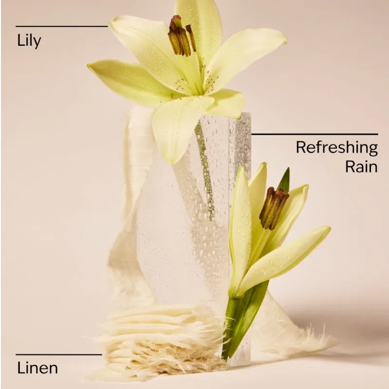 Fresh Rainfall & Linen