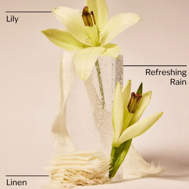 Fresh Rainfall & Linen