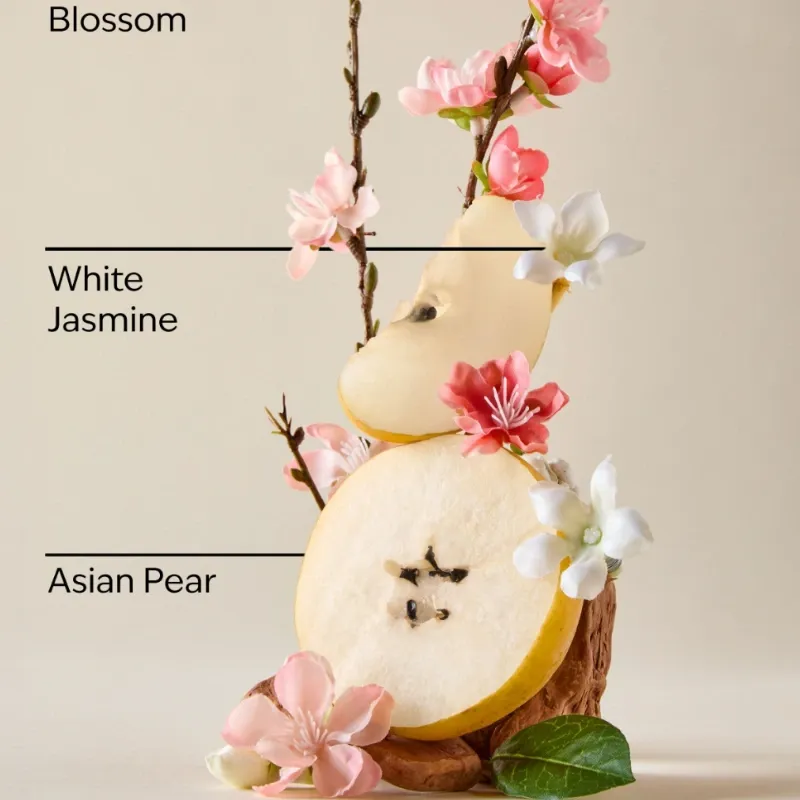 Japanese Cherry Blossom