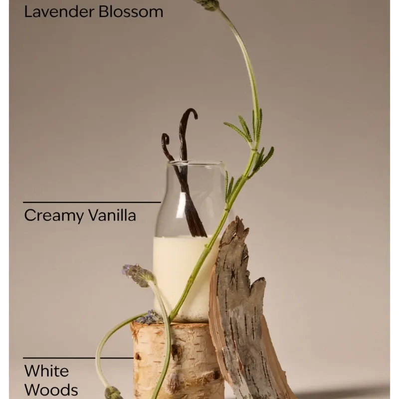 Lavender Vainilla