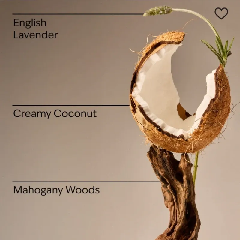 Mahogany Coconut