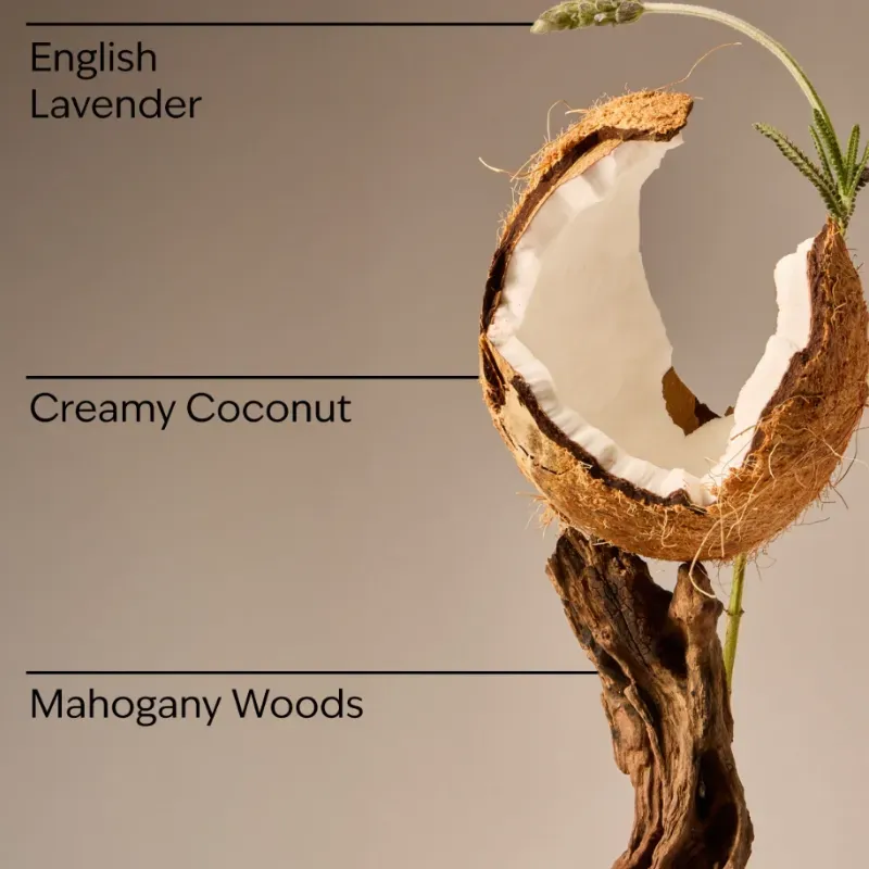 Mahogany Coconut