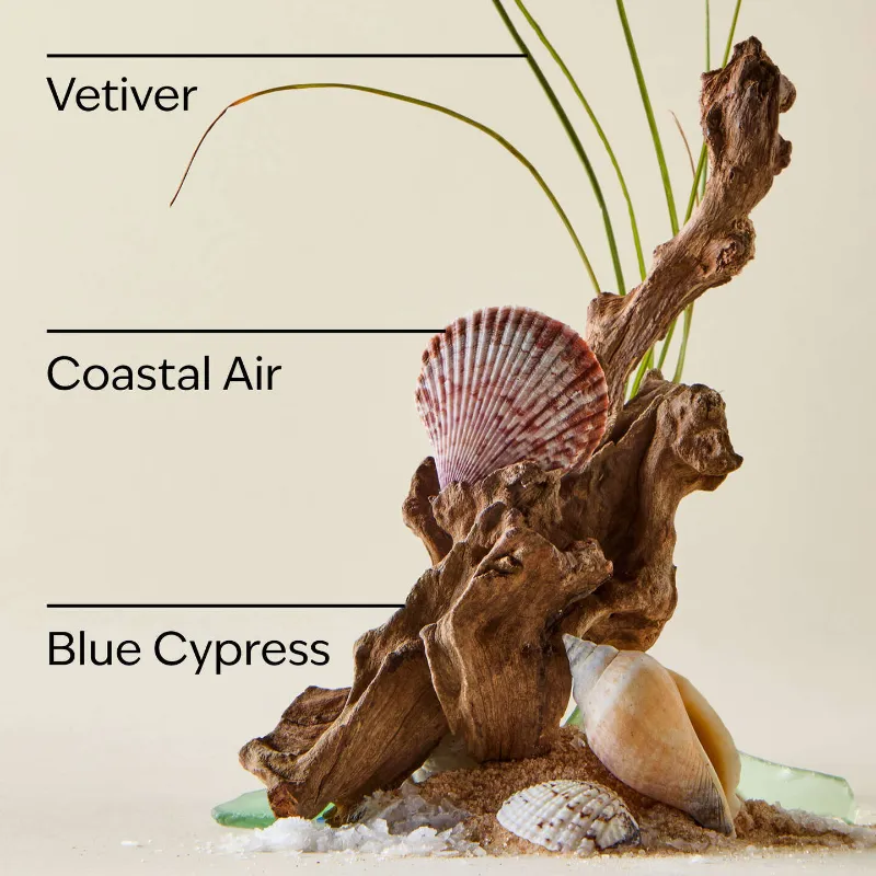 Ocean Hand Soap
