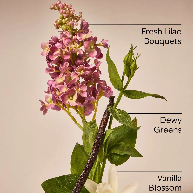 Pink Lilac & Vanilla
