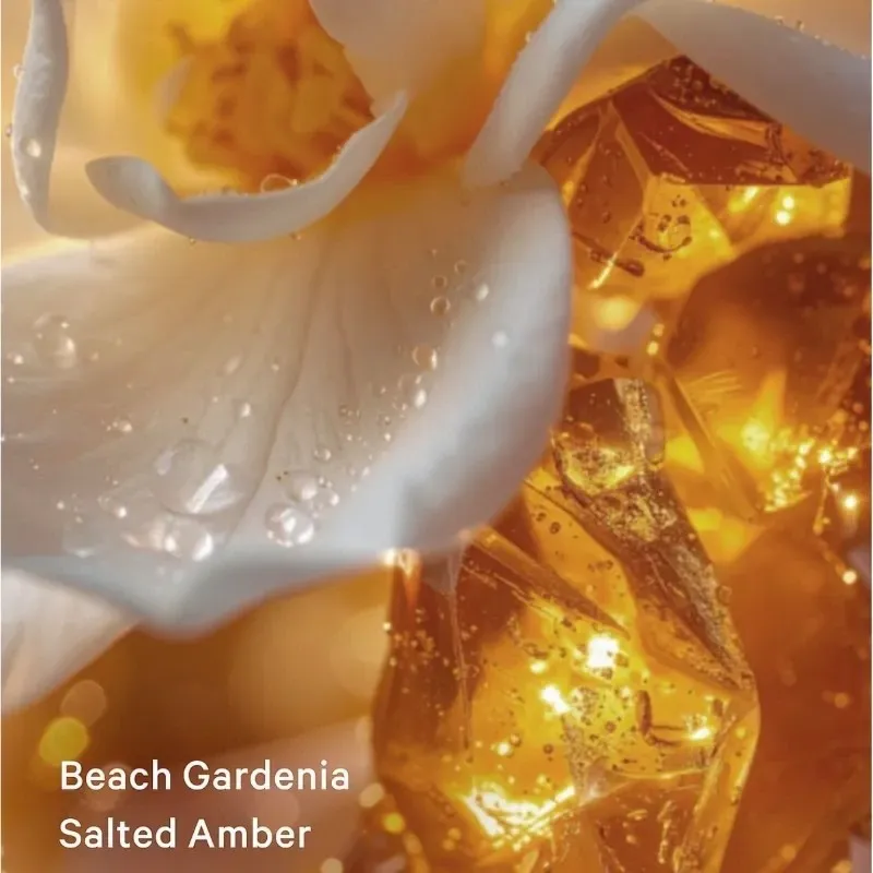 Seashell Shimmer