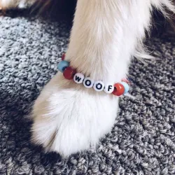 Pulseras se mascotas 