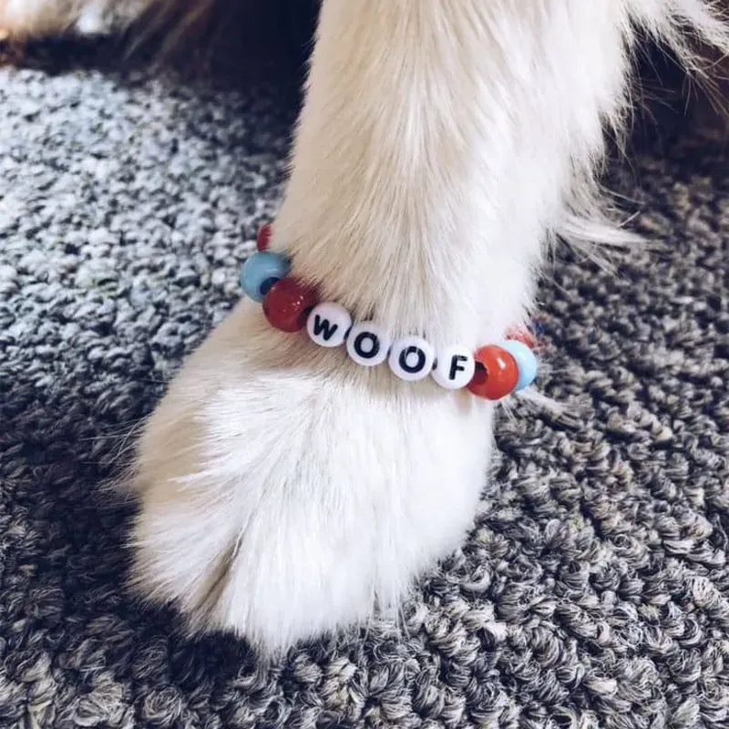 Pulseras se mascotas 