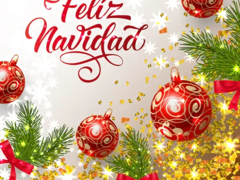 Artículos Navideños