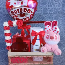 Cesta de Regalo #12 🎁