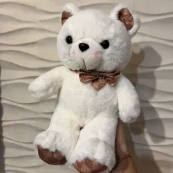 Oso Blanco y Marrón