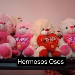 Osos de peluche 🧸💞
