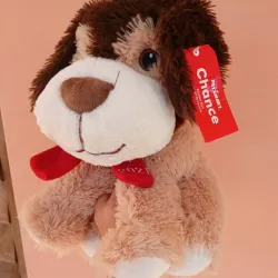 Perrito Marrón 🐶