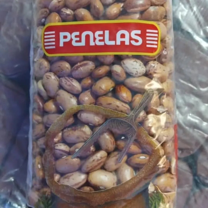 Alubias Pintas 500g 