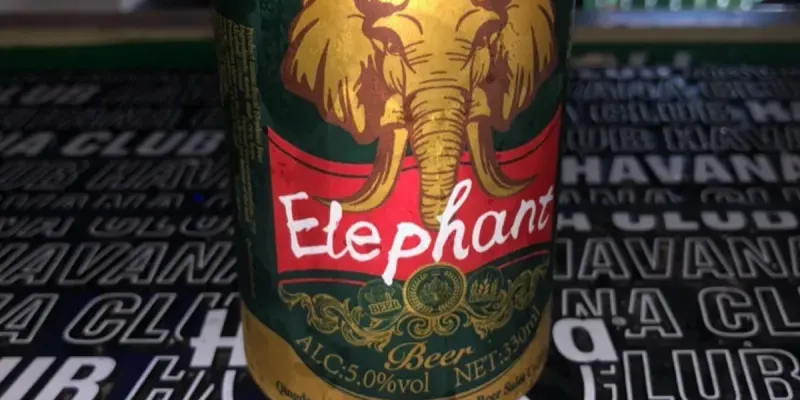 Cerveza Elephant