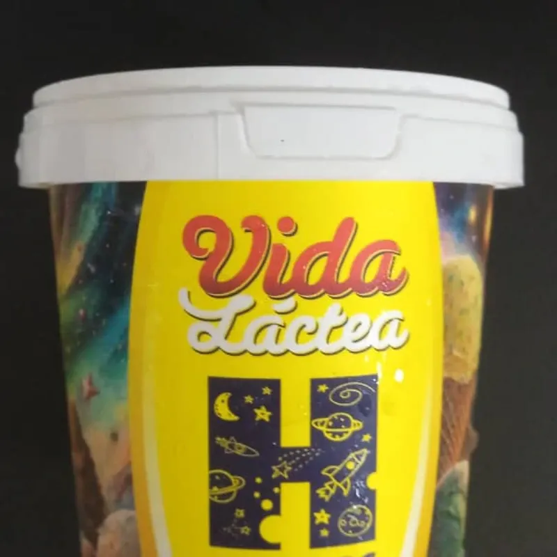 Helado Vida Lactea 500 ml