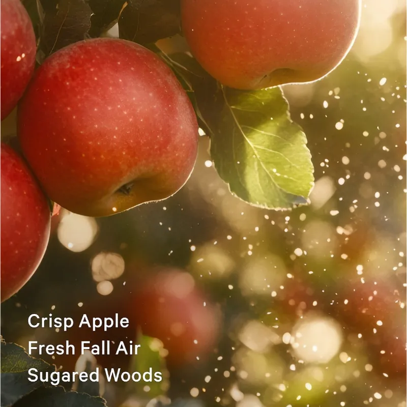 Dreamy Apple Orchad 