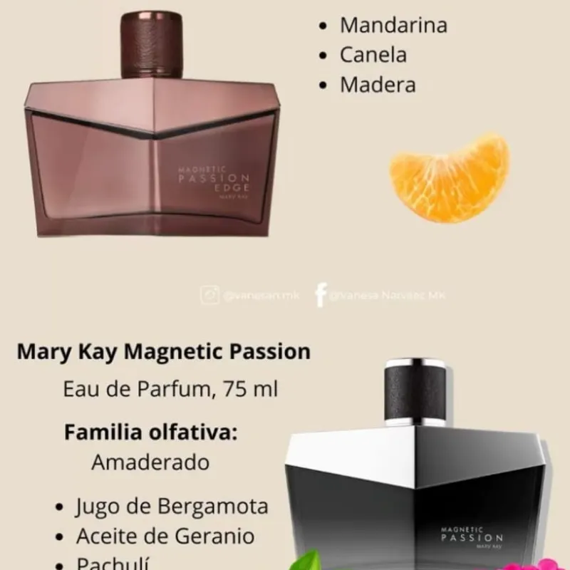 Magnetic Passion 