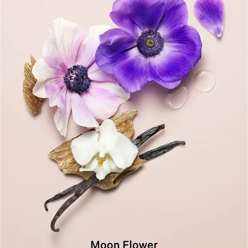 Midnight bloom Locion corporal 