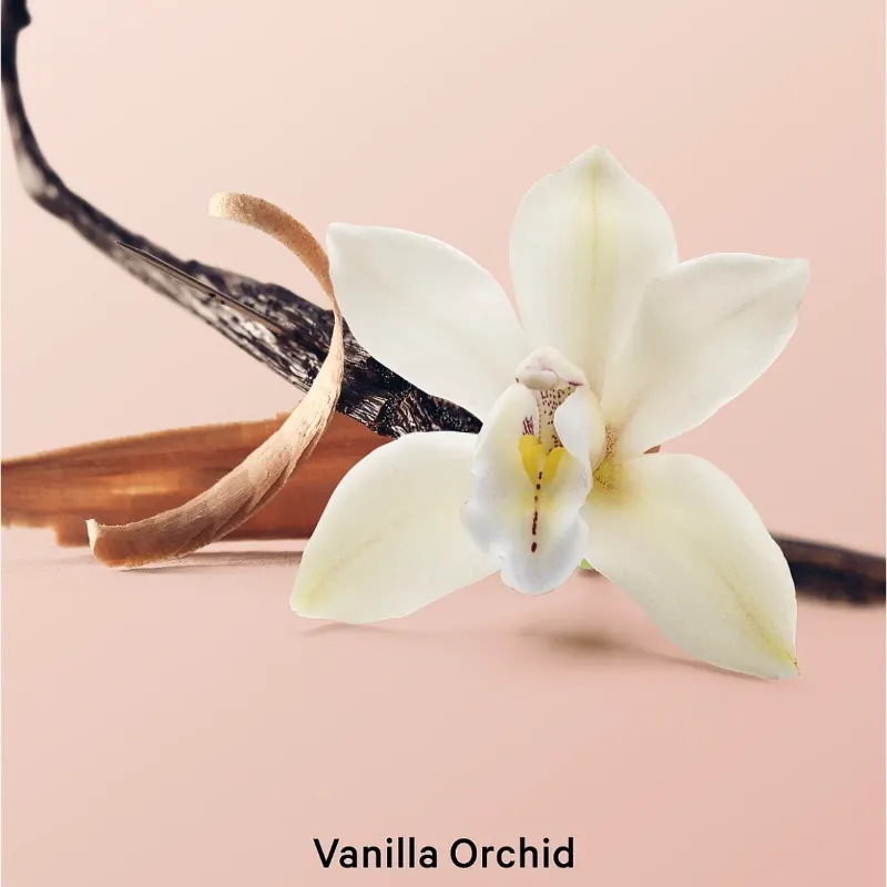 Vanilla Orchid Sandalwood Colonia para Cabello y Cuerpo